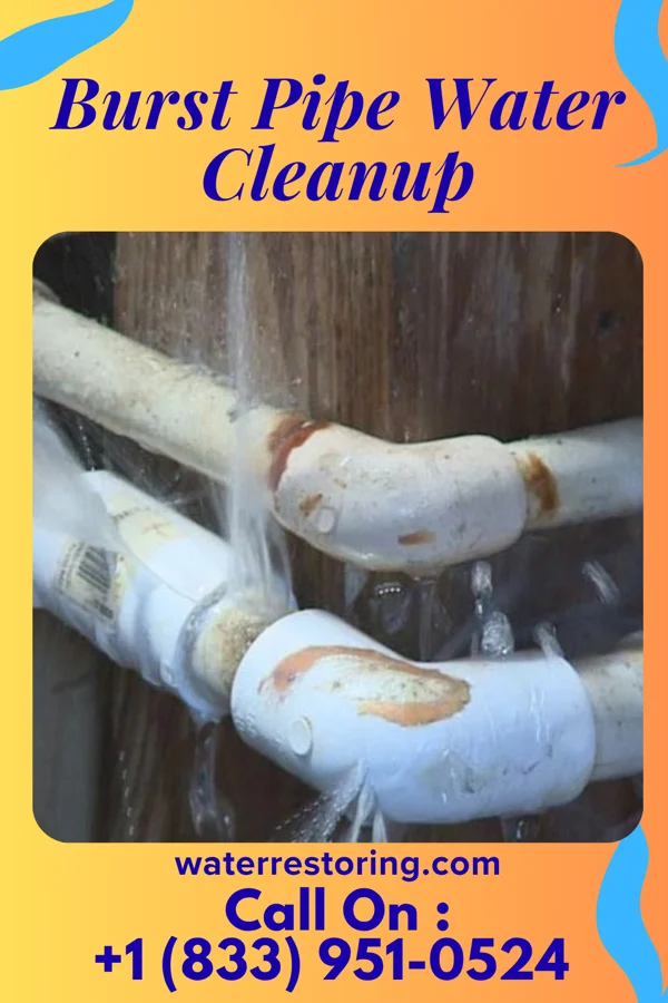 Burst Pipe Water Cleanup in Bethel Springs, TN