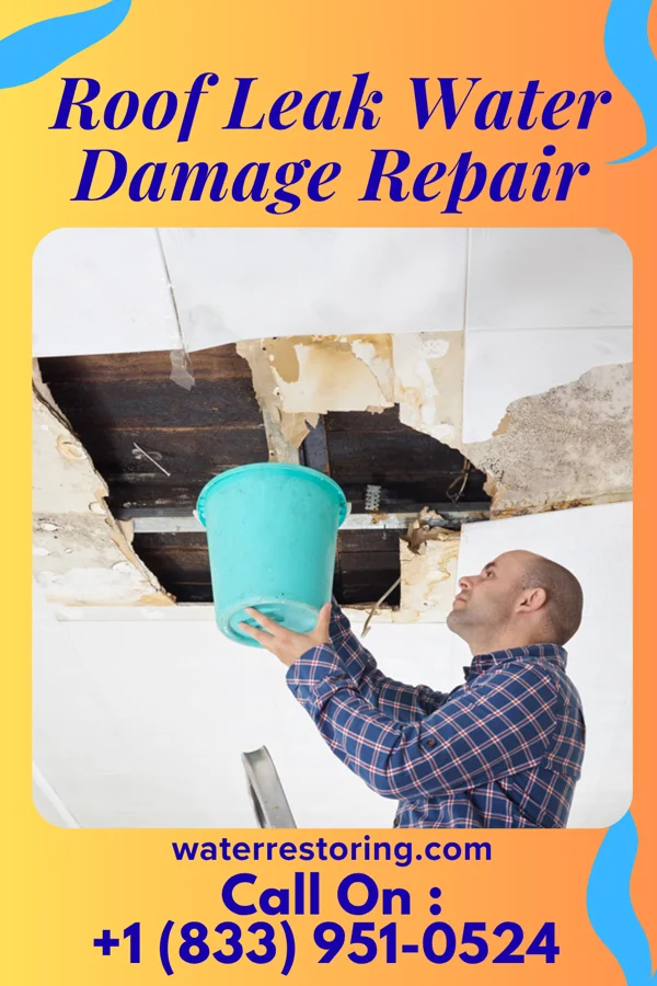 Roof Leak Water Damage Repair in Bethel Springs, TN