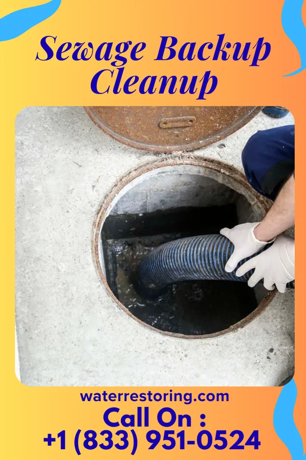 Sewage Backup Cleanup in Bethel Springs, TN