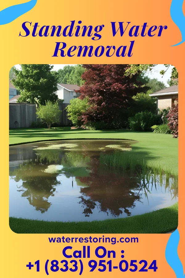Standing Water Removal in Bethel Springs, TN